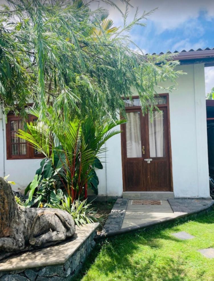 Ice Berg Dehiwala-Mount Lavinia Exterior foto